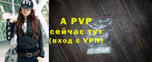 прущие грибы Приозерск