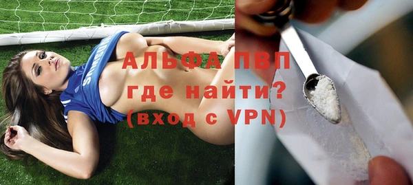 прущие грибы Приозерск